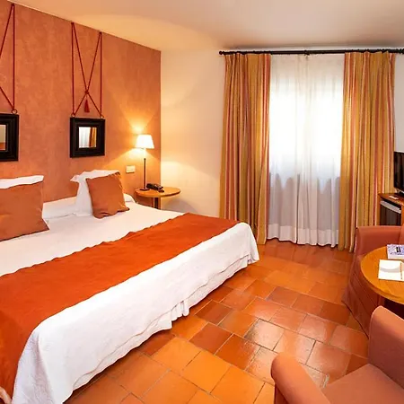Hospederia De Santo Domingo 4* Pedraza