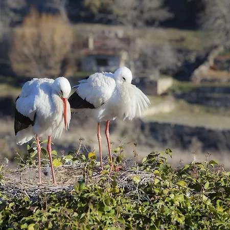 Hospederia De Santo Domingo Pedraza