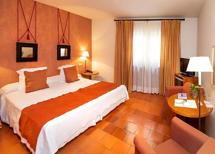 Hospederia De Santo Domingo 4* Pedraza