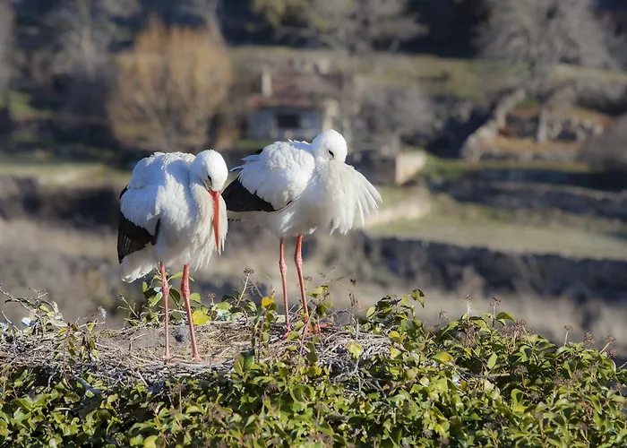 Hospederia De Santo Domingo 페드라사